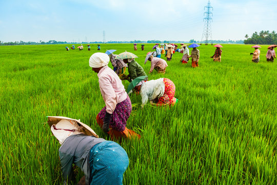 Agribusiness